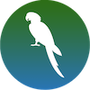 parrot